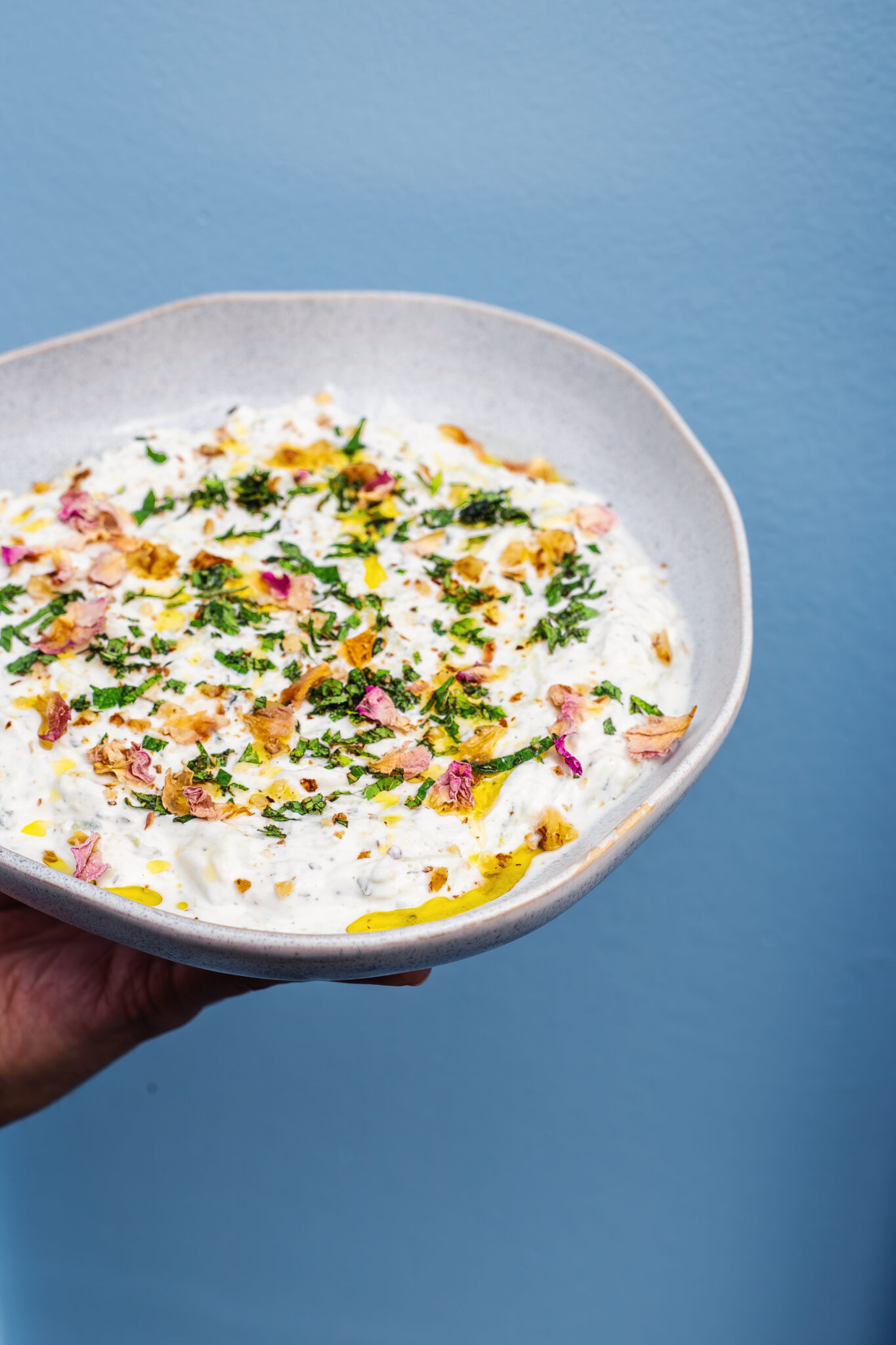 Plats de l’épicerie Maison Cassini recette artisanale